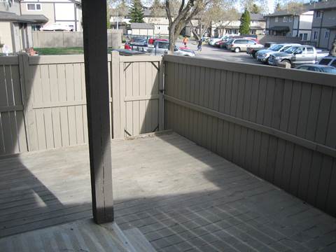 >>> BIG Kitchen * FRESH Paint * LVP Floors * Fully-Upgraded 3-Bedroom Home >>> COME SEE! <<< - Thumbnail 43