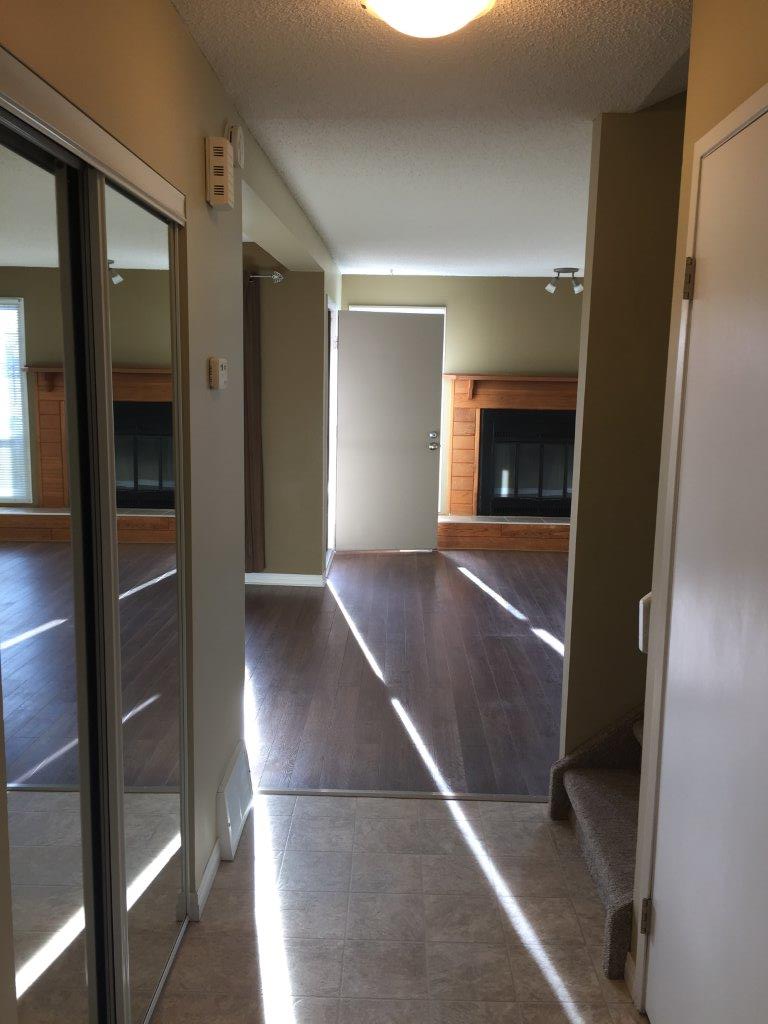 DISCOVER Lago Lindo ~ Carefully Renovated 3-Bedroom Home - Thumbnail 11