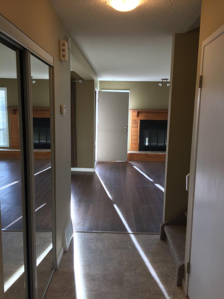 DISCOVER Lago Lindo ~ Carefully Renovated 3-Bedroom Home - Thumbnail 12