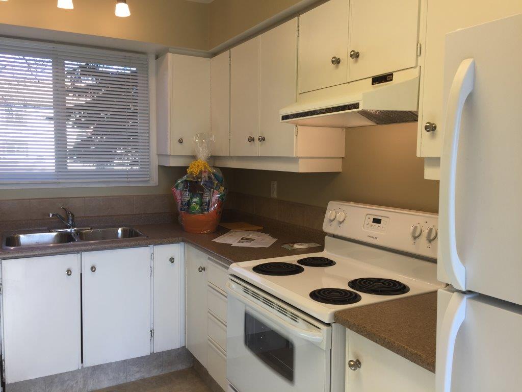 DISCOVER Lago Lindo ~ Carefully Renovated 3-Bedroom Home - Thumbnail 27