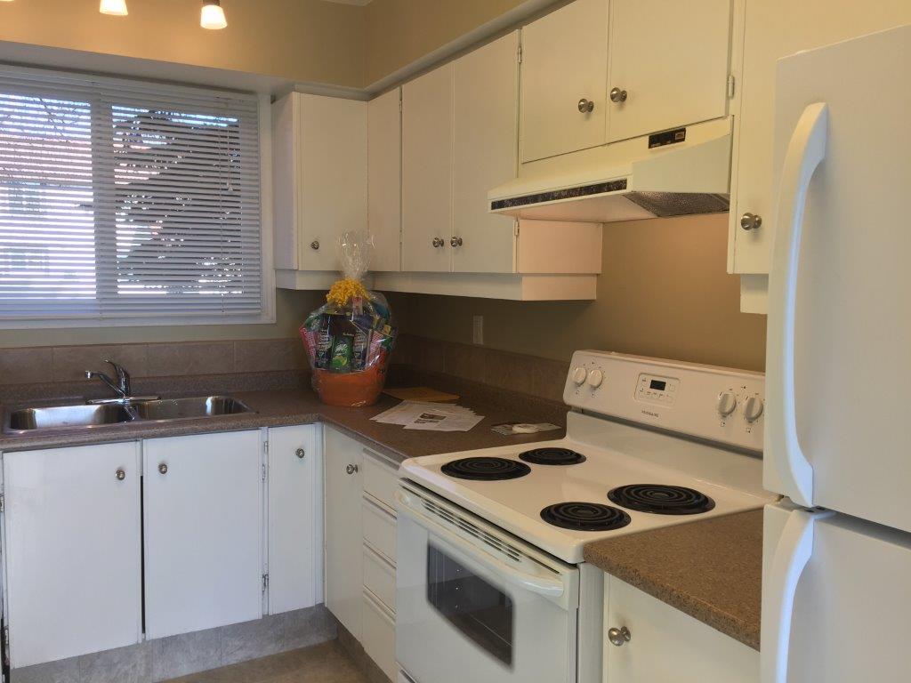 DISCOVER Lago Lindo ~ Carefully Renovated 3-Bedroom Home - Thumbnail 28
