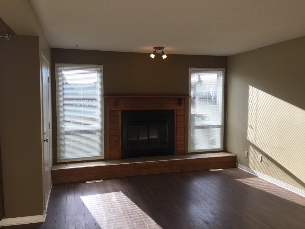 DISCOVER Lago Lindo ~ Carefully Renovated 3-Bedroom Home - Thumbnail 3