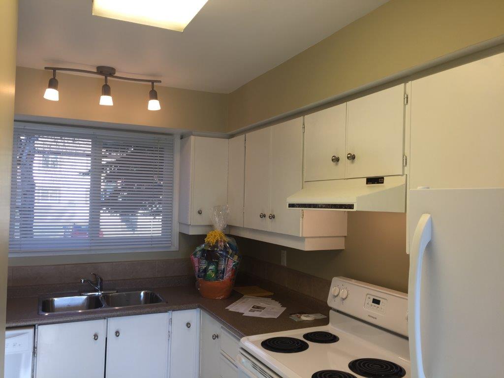 DISCOVER Lago Lindo ~ Carefully Renovated 3-Bedroom Home - Thumbnail 32