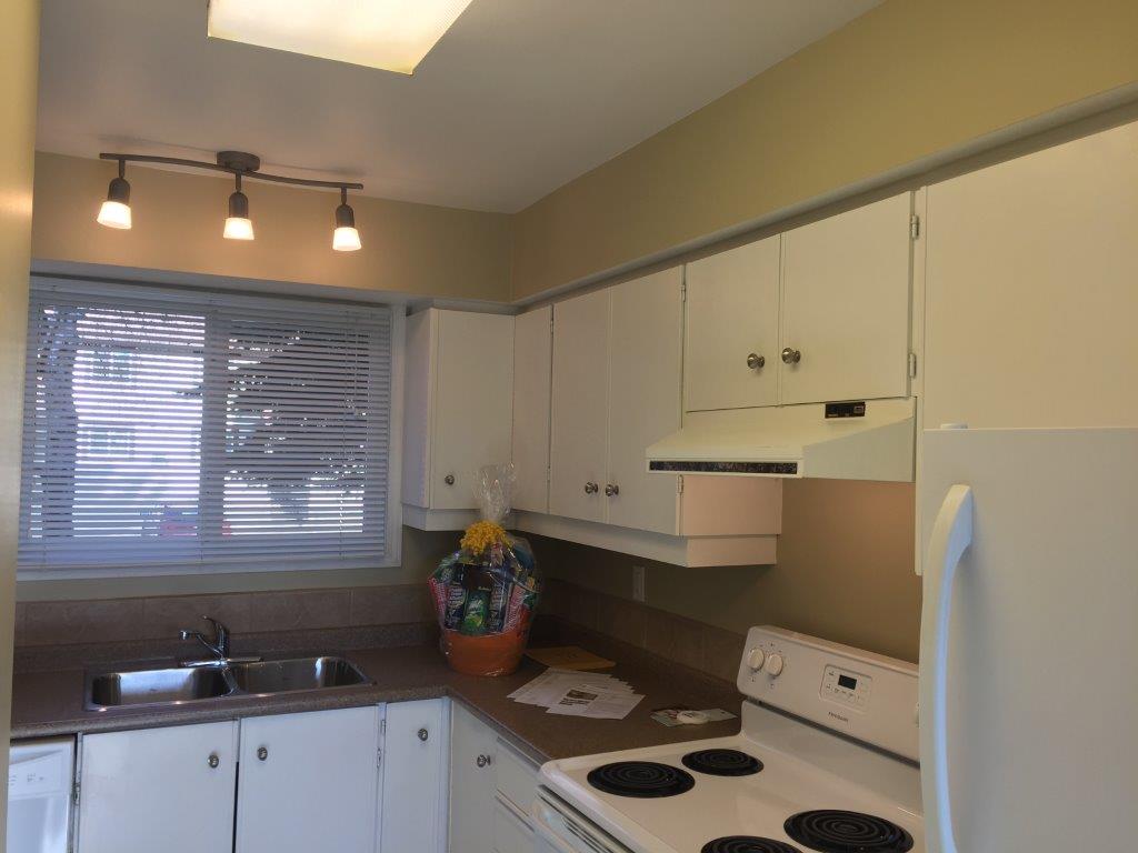 DISCOVER Lago Lindo ~ Carefully Renovated 3-Bedroom Home - Thumbnail 30