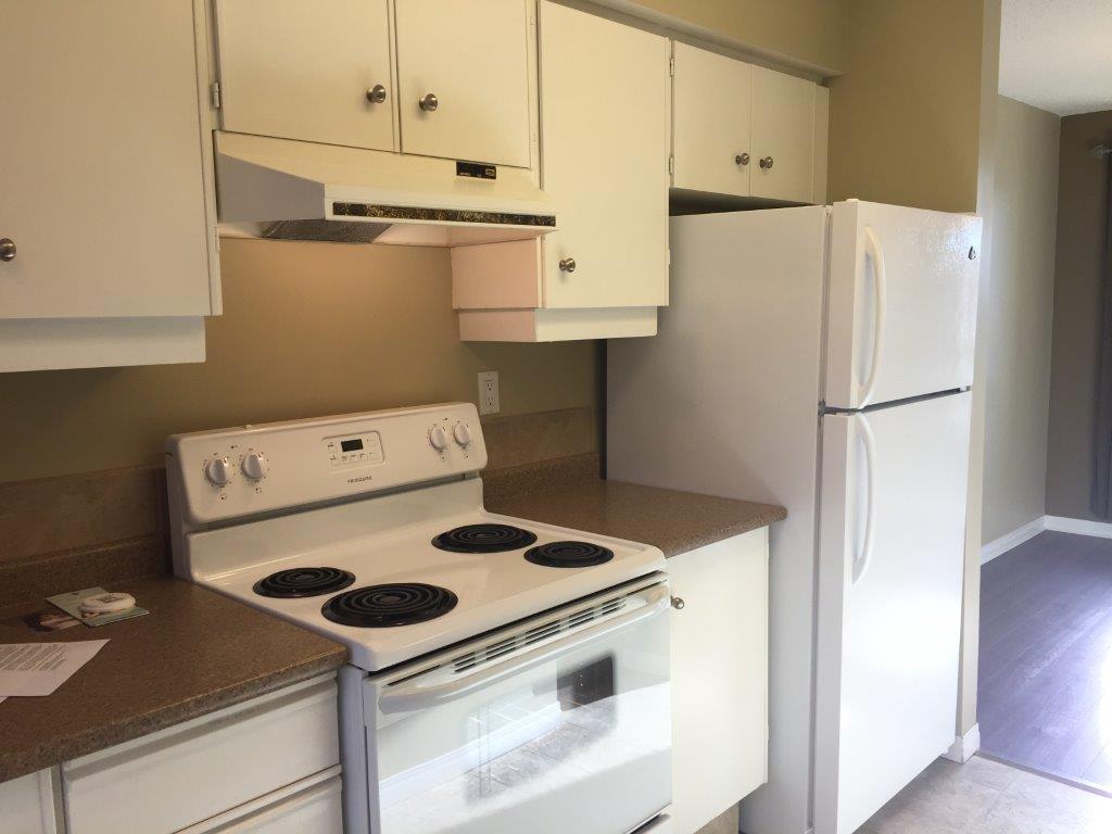 DISCOVER Lago Lindo ~ Carefully Renovated 3-Bedroom Home - Thumbnail 31