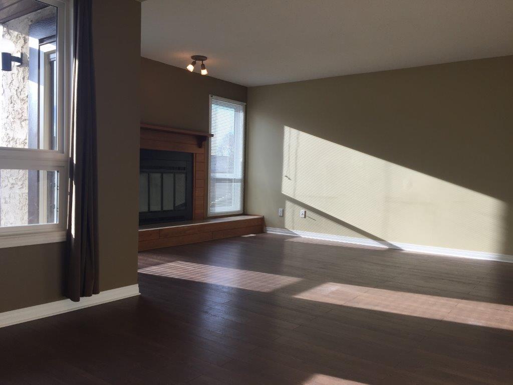 DISCOVER Lago Lindo ~ Carefully Renovated 3-Bedroom Home - Thumbnail 16