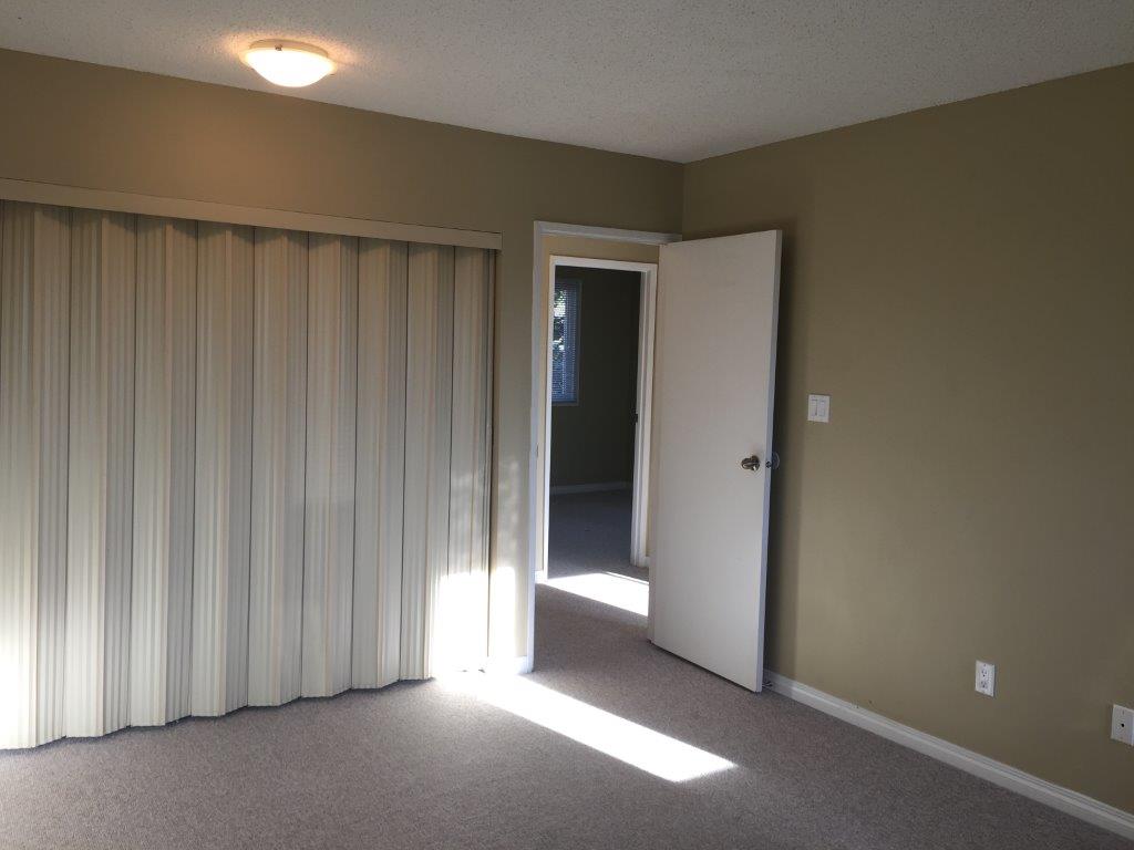 DISCOVER Lago Lindo ~ Carefully Renovated 3-Bedroom Home - Thumbnail 38