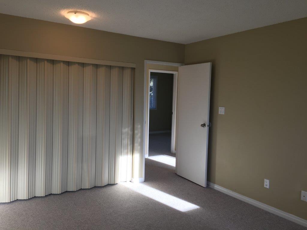 DISCOVER Lago Lindo ~ Carefully Renovated 3-Bedroom Home - Thumbnail 39