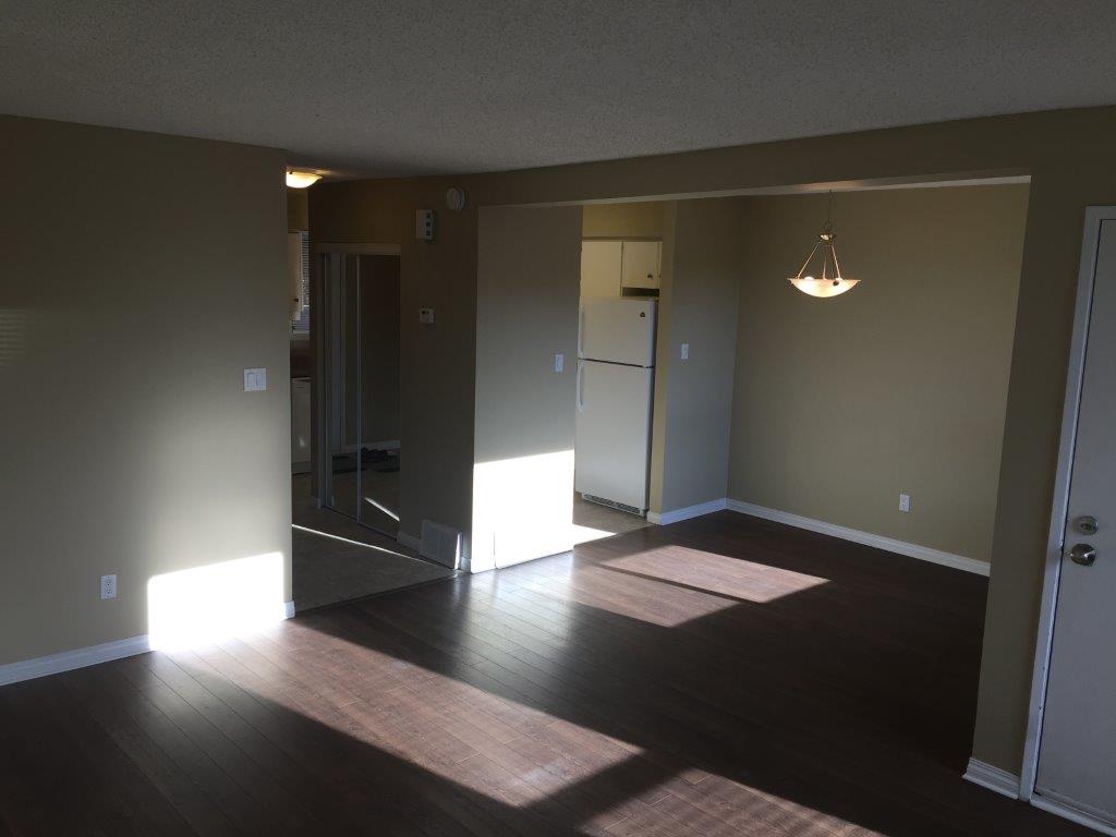 DISCOVER Lago Lindo ~ Carefully Renovated 3-Bedroom Home - Thumbnail 19