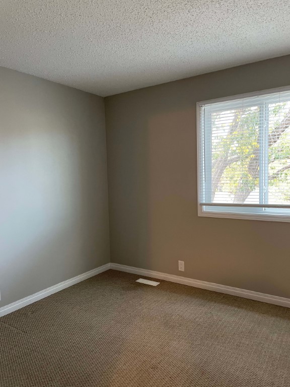 DISCOVER THE DIFFERENCE QUALITY MAKES ~ 3 Bedrooms in Northeast Edmonton - Thumbnail 22