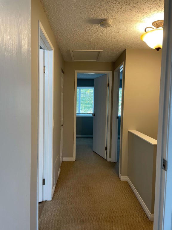 DISCOVER THE DIFFERENCE QUALITY MAKES ~ 3 Bedrooms in Northeast Edmonton - Thumbnail 5