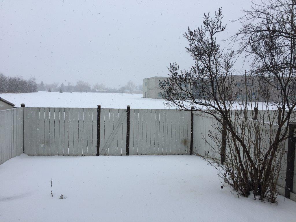 Fully-Renovated 3-Bedroom Family-Friendly Townhome + BONUS Basement Development! - Thumbnail 101