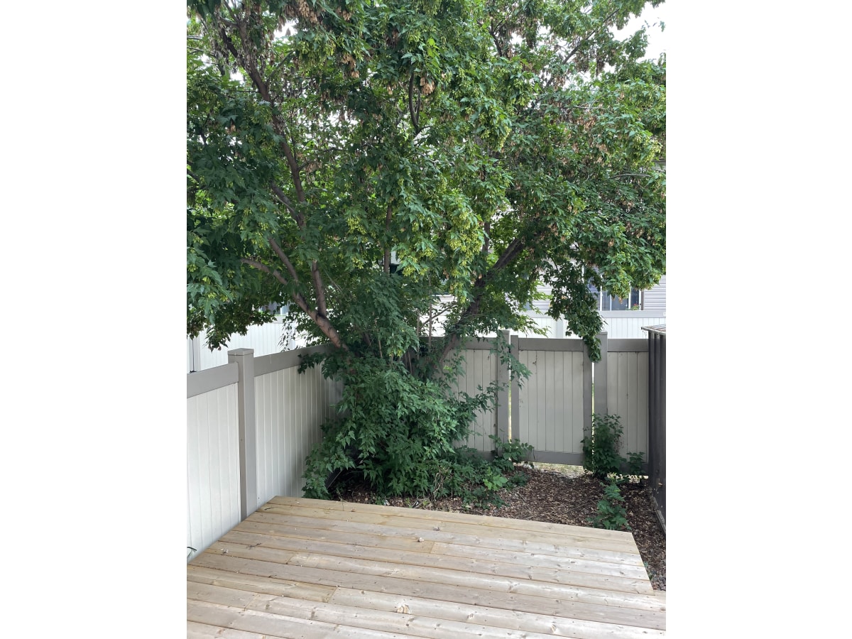 QUALITY 3-Bedroom Home ~ 1090 sqft ~ Rented NOW! - Thumbnail 36