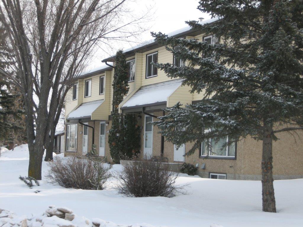 Find the SPACE You Need in this Lovingly Renovated Townhome - Thumbnail 65