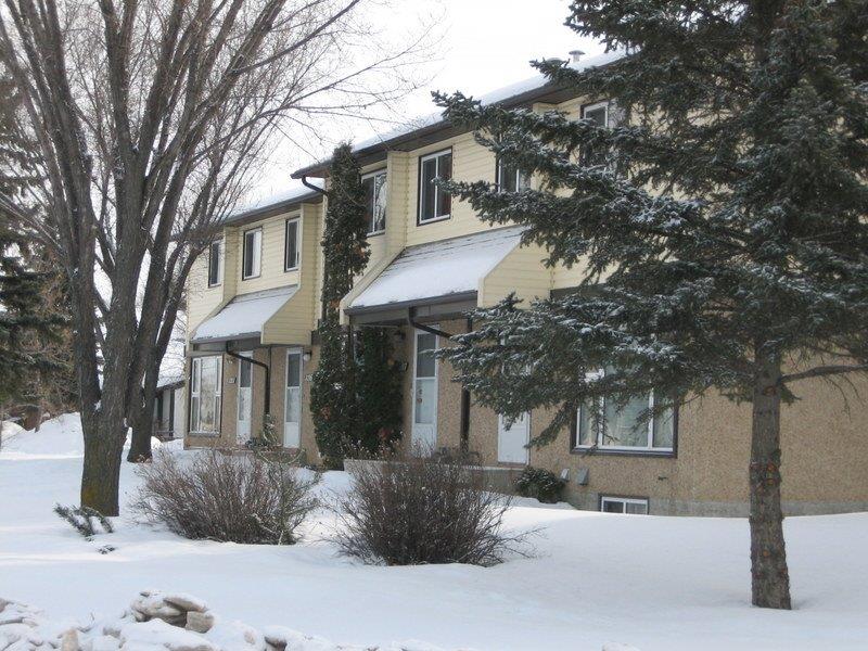 Find the SPACE You Need in this Lovingly Renovated Townhome - Thumbnail 69