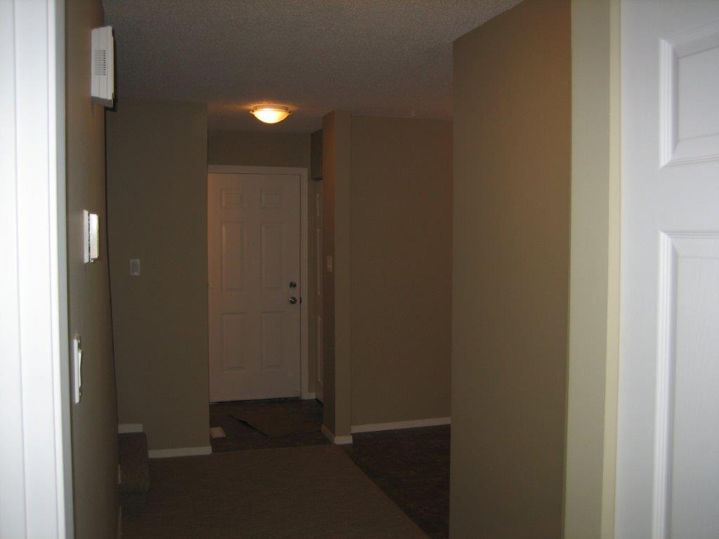 Find the SPACE You Need in this Lovingly Renovated Townhome - Thumbnail 14