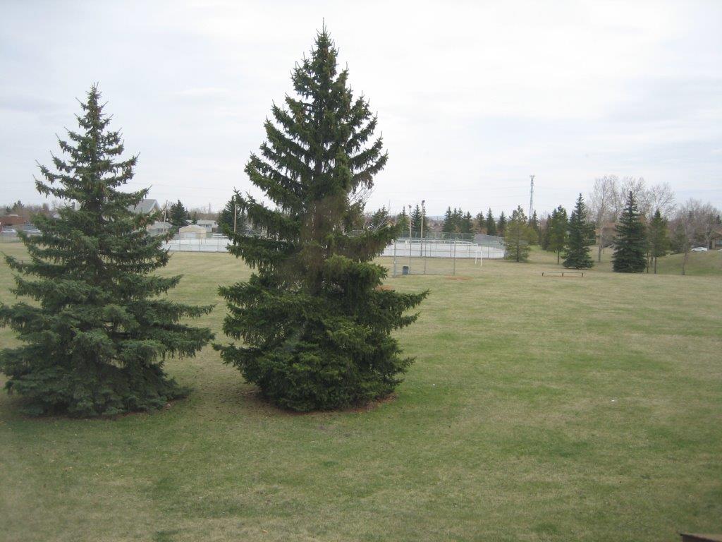 EVERYTHING YOU MIGHT EXPECT... and MUCH MORE! ~ 3 Bedrooms * 2.5 Bathrooms * Finished Basement - Thumbnail 49