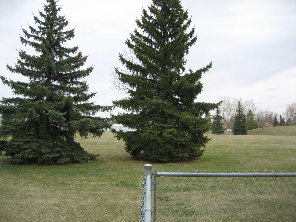 EVERYTHING YOU MIGHT EXPECT... and MUCH MORE! ~ 3 Bedrooms * 2.5 Bathrooms * Finished Basement - Thumbnail 50