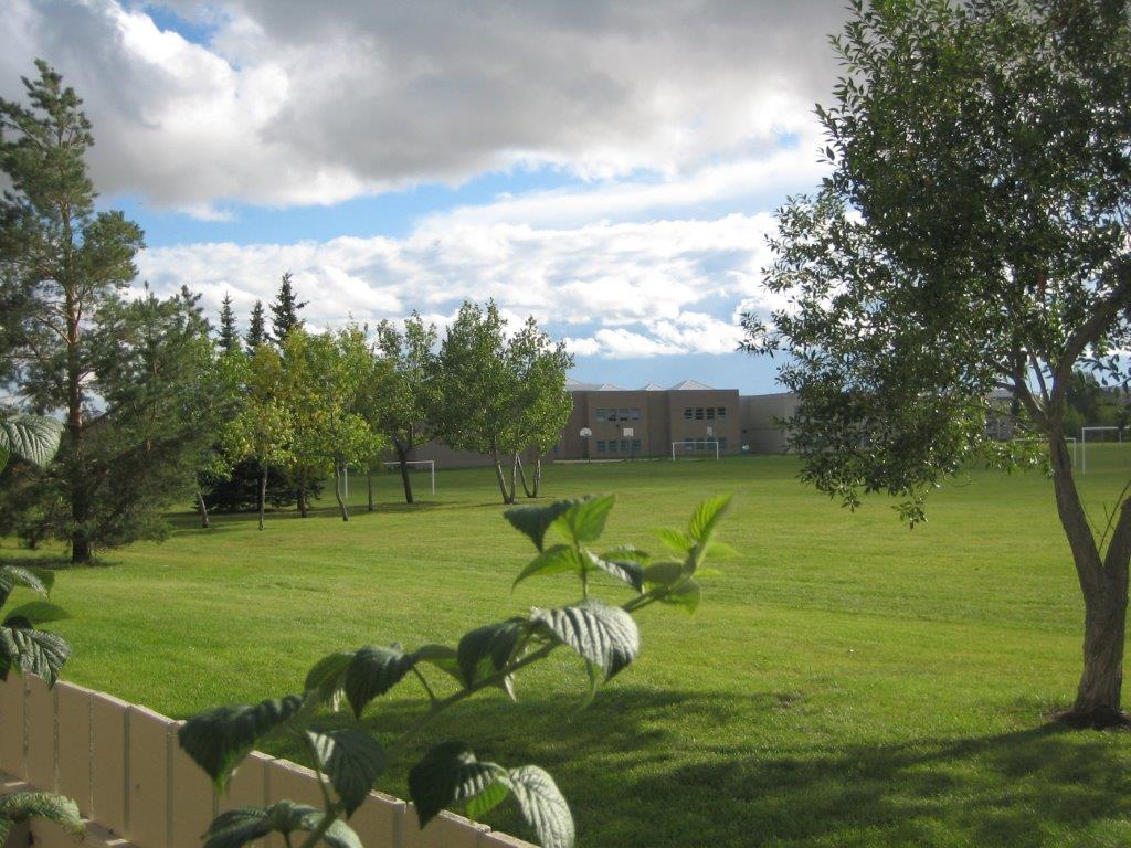 SUPERIOR North-East Edmonton Townhome ~ Location & View - Thumbnail 32