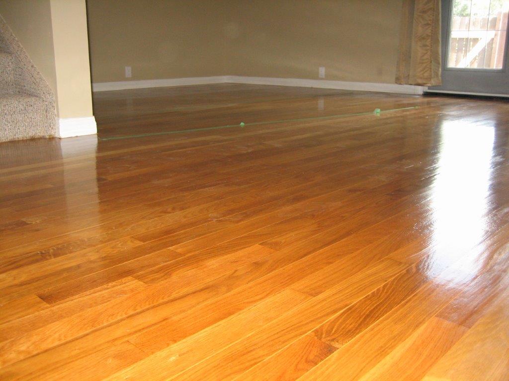 QUALITY 3-Bedroom Home ~ 1172 sqft ~ Rented NOW! - Image 1