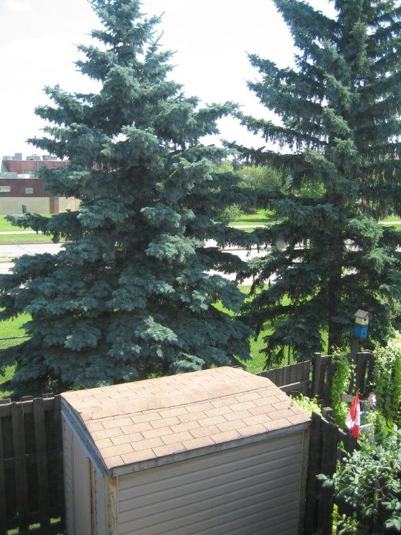 QUALITY 3-Bedroom Home ~ 1172 sqft ~ Rented NOW! - Thumbnail 58