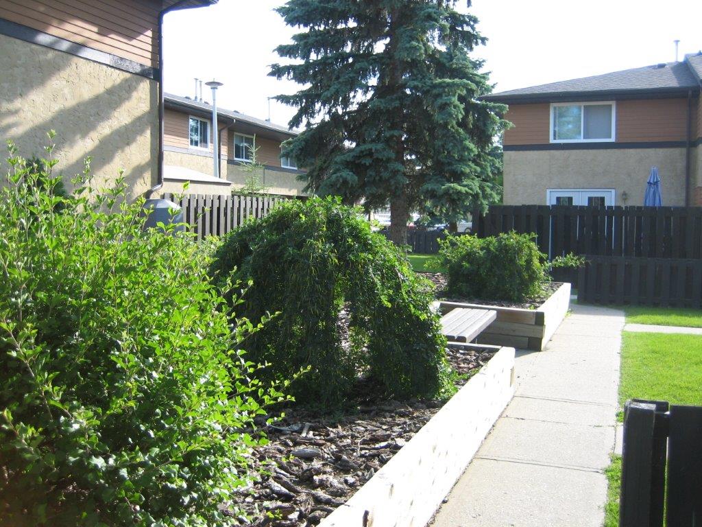Discover this Pretty Townhome in a Pet-Friendly Community - Thumbnail 41
