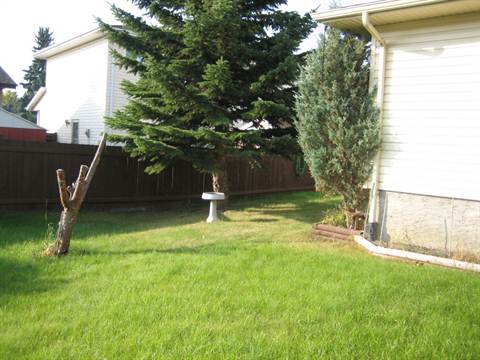 Move into THE INNER CIRCLE *** Clean Peaceful Home with CARPORT & Enormous Yard! - Thumbnail 33