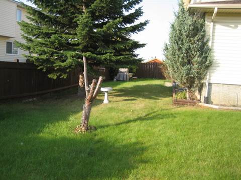 Move into THE INNER CIRCLE *** Clean Peaceful Home with CARPORT & Enormous Yard! - Thumbnail 34