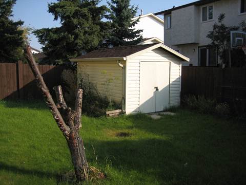 Move into THE INNER CIRCLE *** Clean Peaceful Home with CARPORT & Enormous Yard! - Thumbnail 35